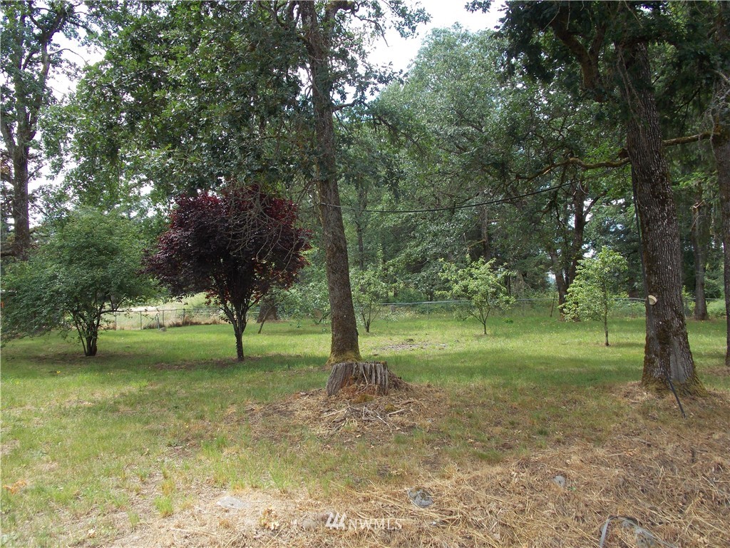 17615 Dane Lane Southwest Rochester, WA 98579 - Photo 24 of 25