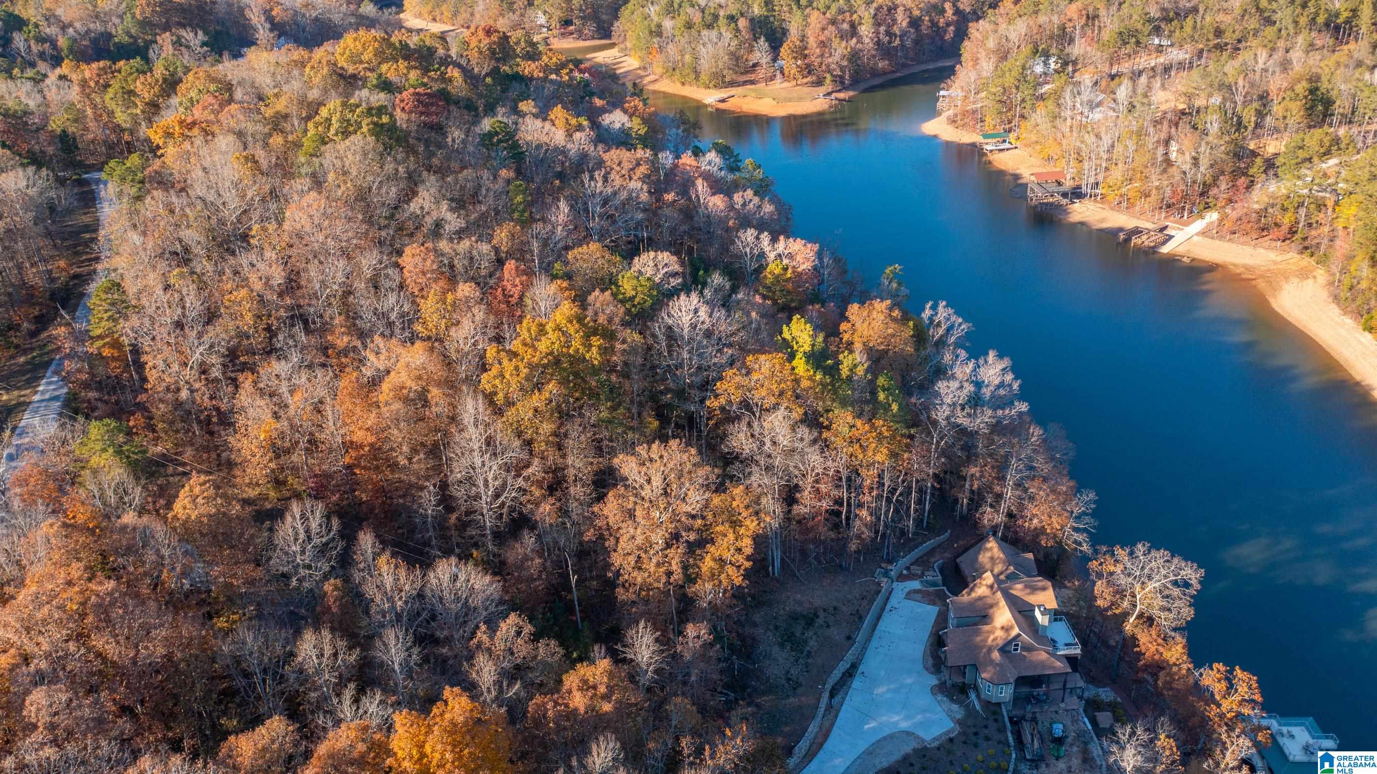 Lot 2 Emily Avenue, Unit 2 Lineville, AL 36266 - Photo 4 of 12