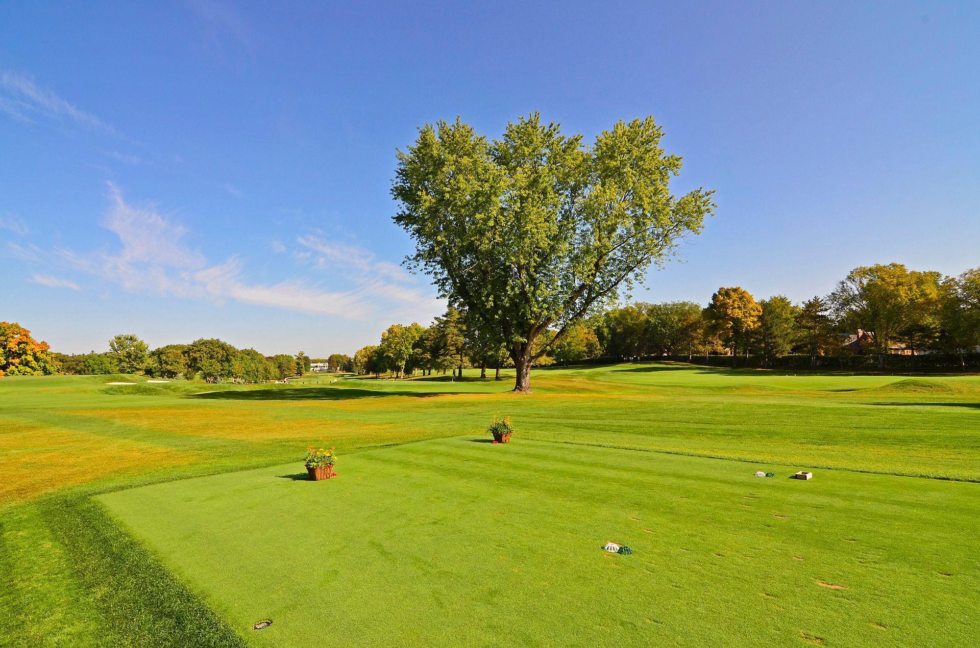 5602 Dalrymple Road Edina, MN 55424 - Photo 61 of 63