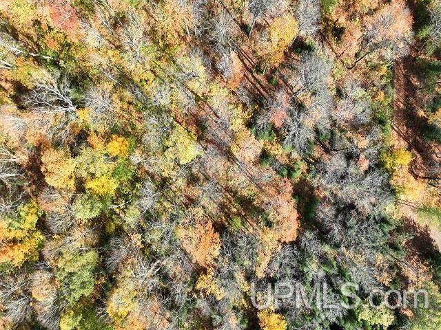 5800 Wolf Lake Road Watersmeet, MI 49969 - Photo 70 of 86