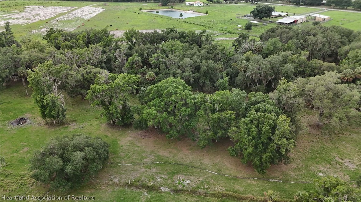 Griffin Road Wauchula, FL 33873 - Photo 12 of 17 a view of a green field with lots of bushes