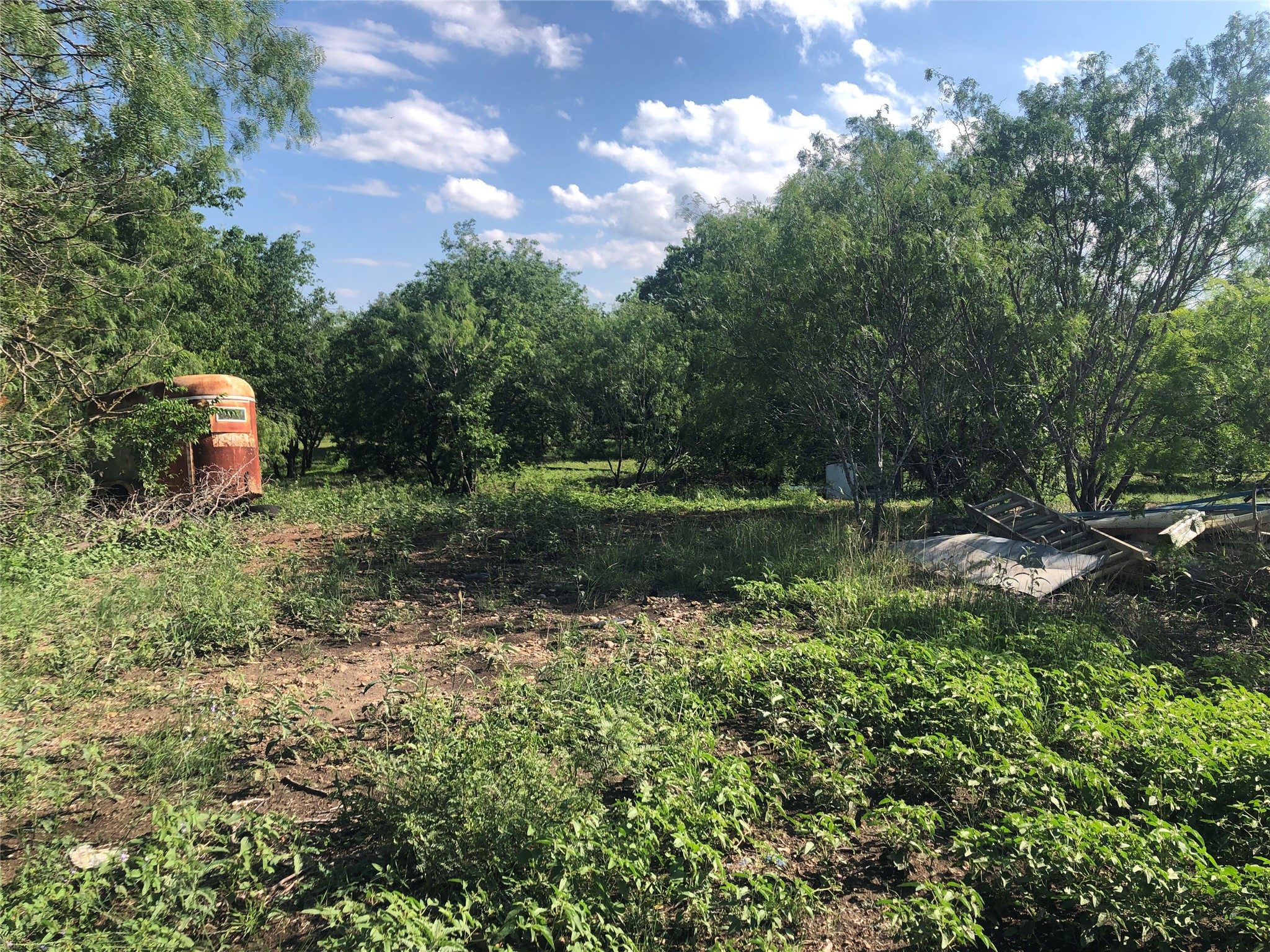 13414 Elm Grove Road Buda, TX 78610 - Photo 12 of 13 Mature trees and lush greenery define this ample, untamed yard space.