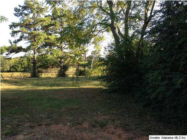 Pine Harbor Road, Unit 12 Pell City, AL 35128 - Photo 4 of 9