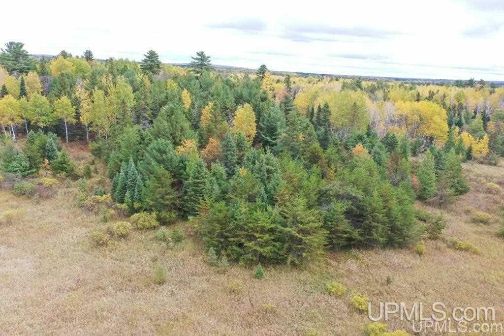 Tbd South County Line Road Watersmeet, MI 49969 - Photo 8 of 16
