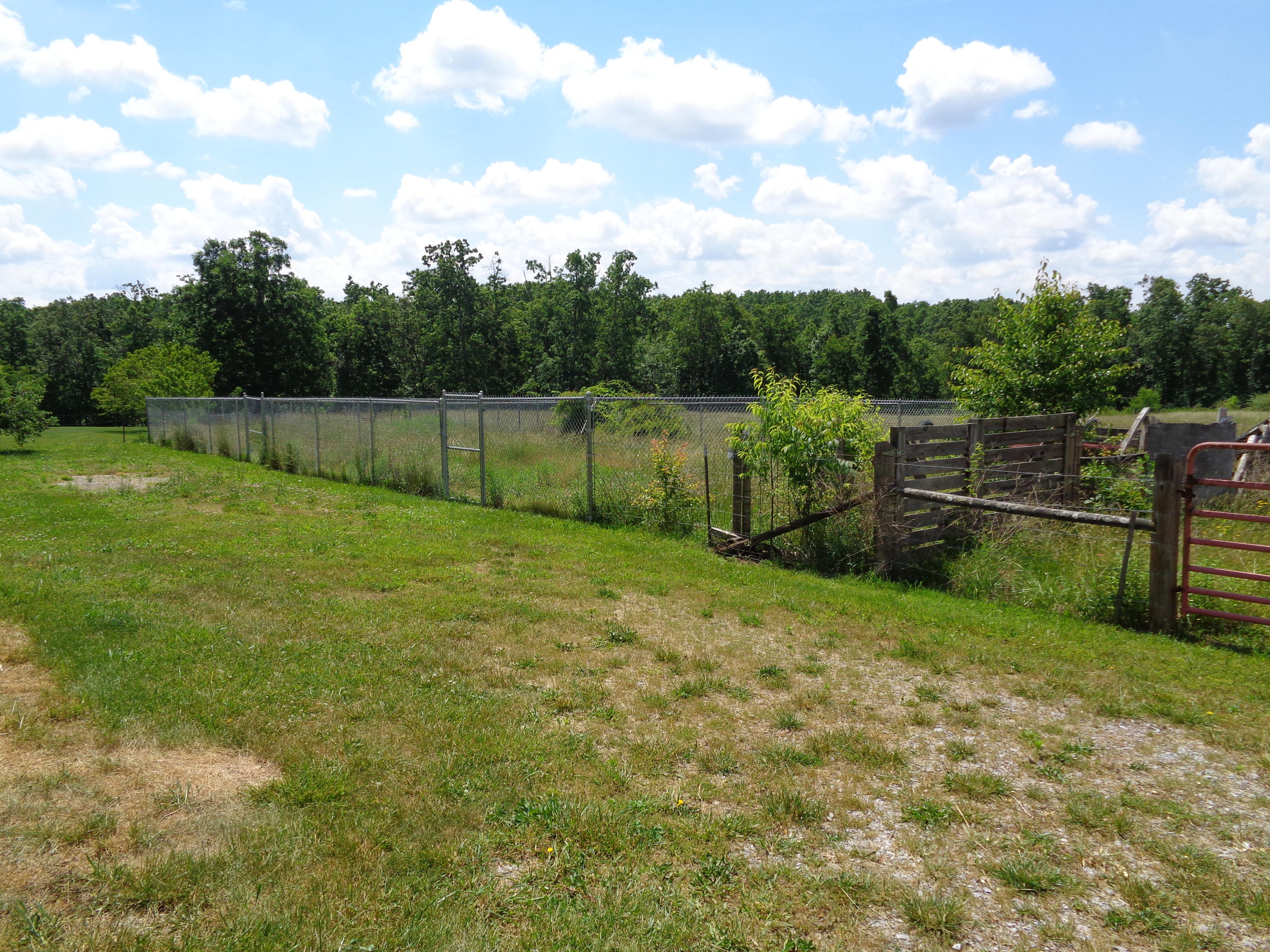 533 Shadberry Road Crossville, TN 38572 - Photo 32 of 35 DSC00555