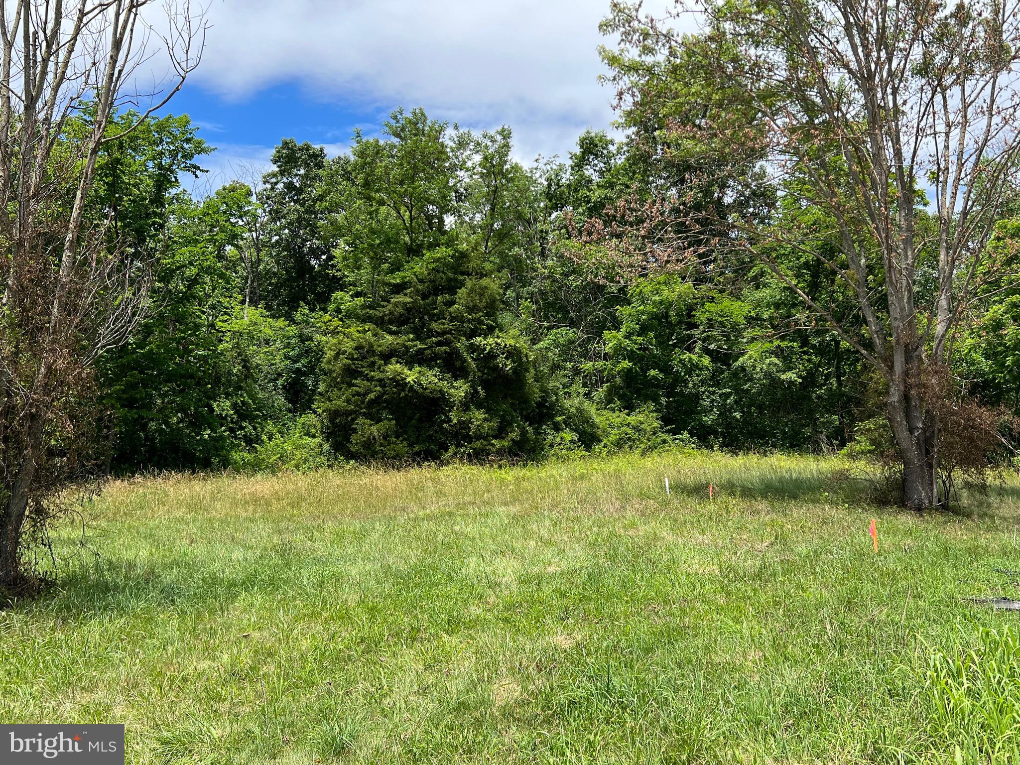 9363 Senedo Road Mount Jackson, VA 22842 - Photo 2 of 7 Gallery Image 2