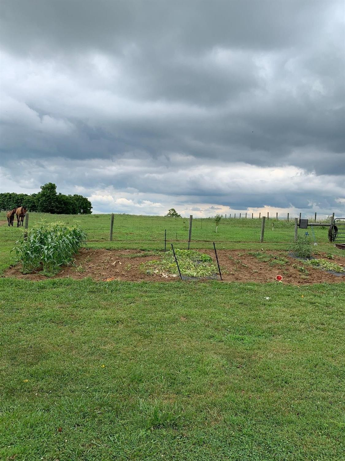 5059 Raymond Road Mays Lick, KY 41055 - Photo 33 of 48 Photo 33