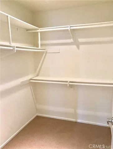 a view of a street sign under a large tree