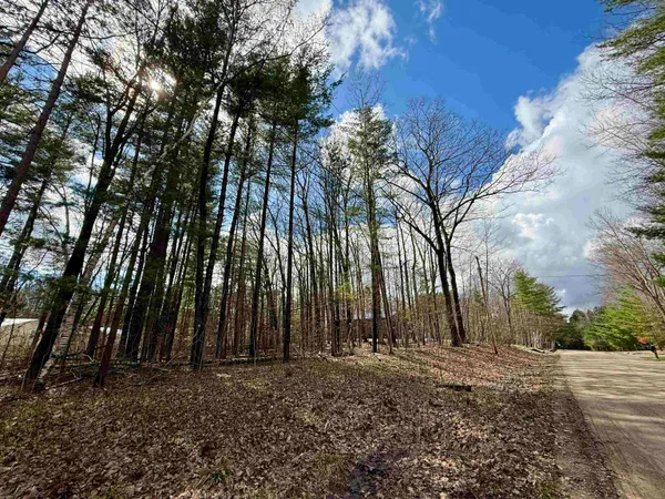 $10,000 | Wildwood Drive, Gladwin, MI 48624