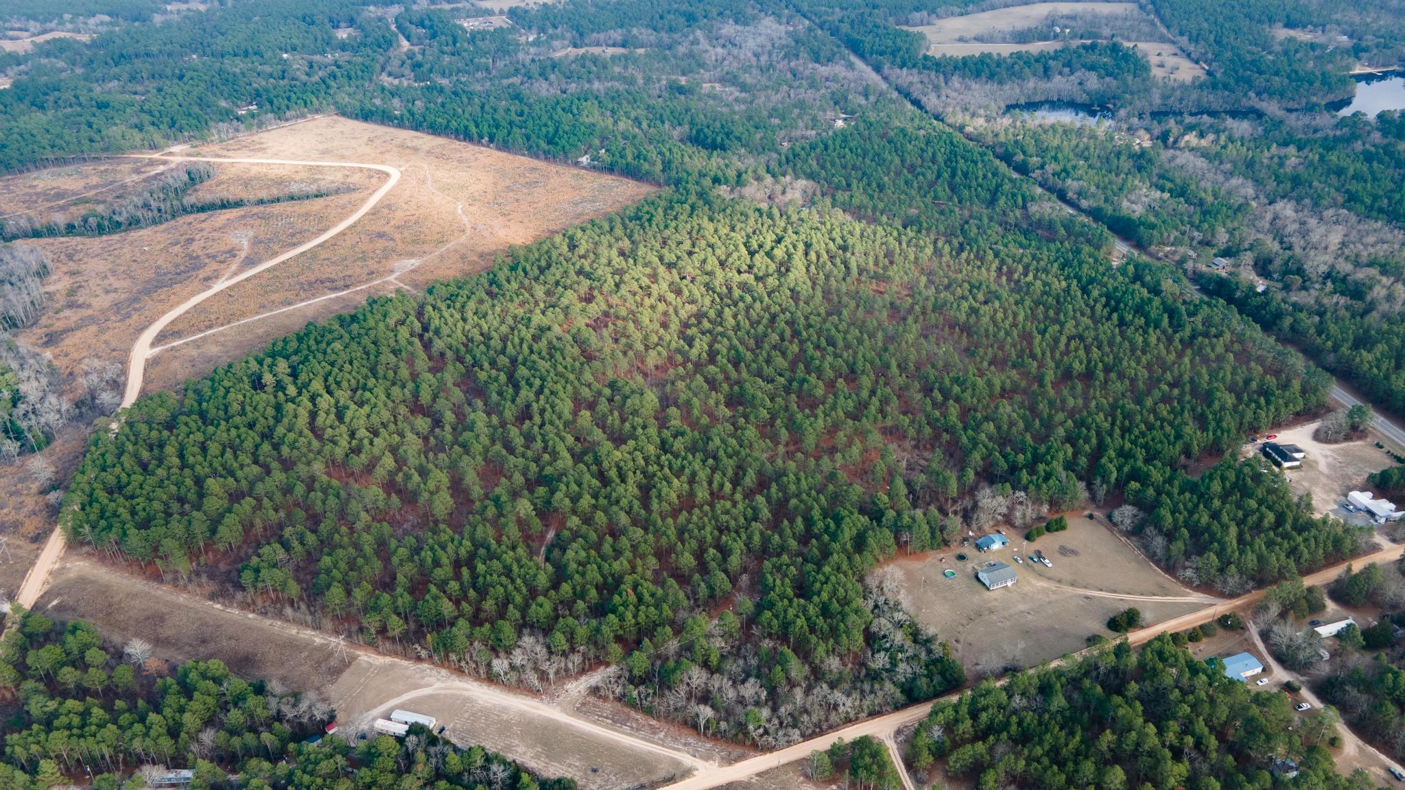 Batesburg-leesville Fairview Road Leesville, SC 29070 - Photo 7 of 8 DJI_0395-3