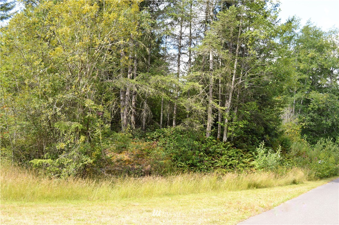 170 Northeast Laurel Road Belfair, WA 98528 - Photo 4 of 7 Gallery Image 4