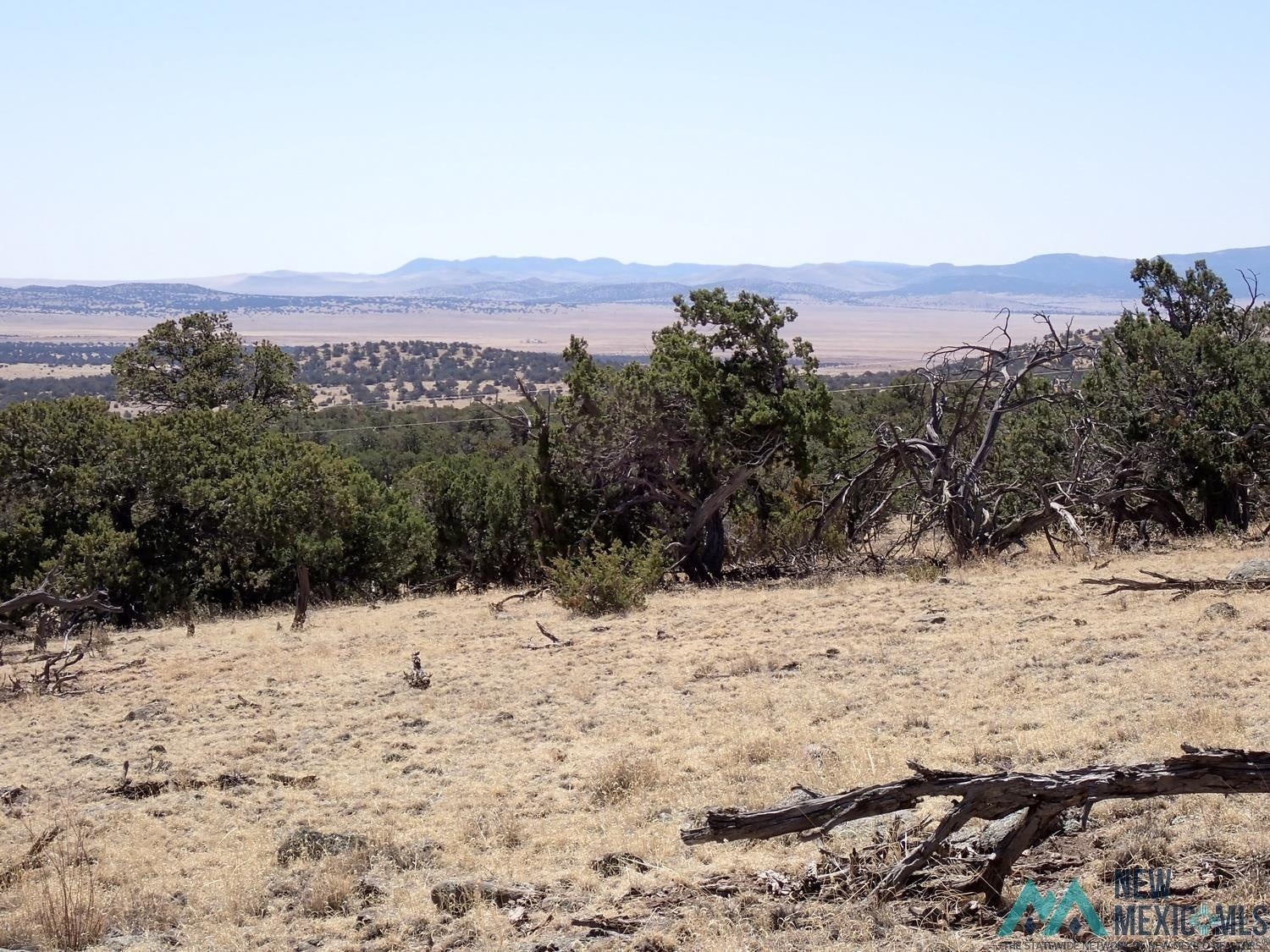 Tanglewood Datil, NM 87821 - Photo 12 of 15 Gallery Image 12