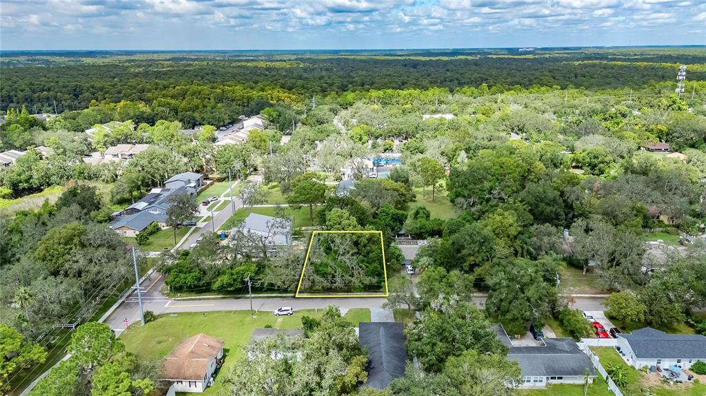 5204 East 131st Avenue Temple Terrace, FL 33617 - Photo 11 of 16 a view of a yard with plants and large trees