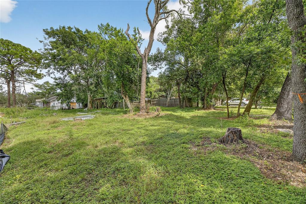 5204 East 131st Avenue Temple Terrace, FL 33617 - Photo 5 of 16 a garden view