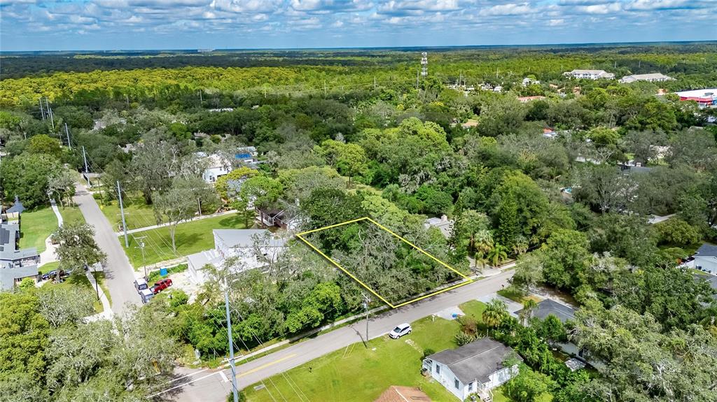 5204 East 131st Avenue Temple Terrace, FL 33617 - Photo 7 of 16 a view of a large garden with plants and large trees