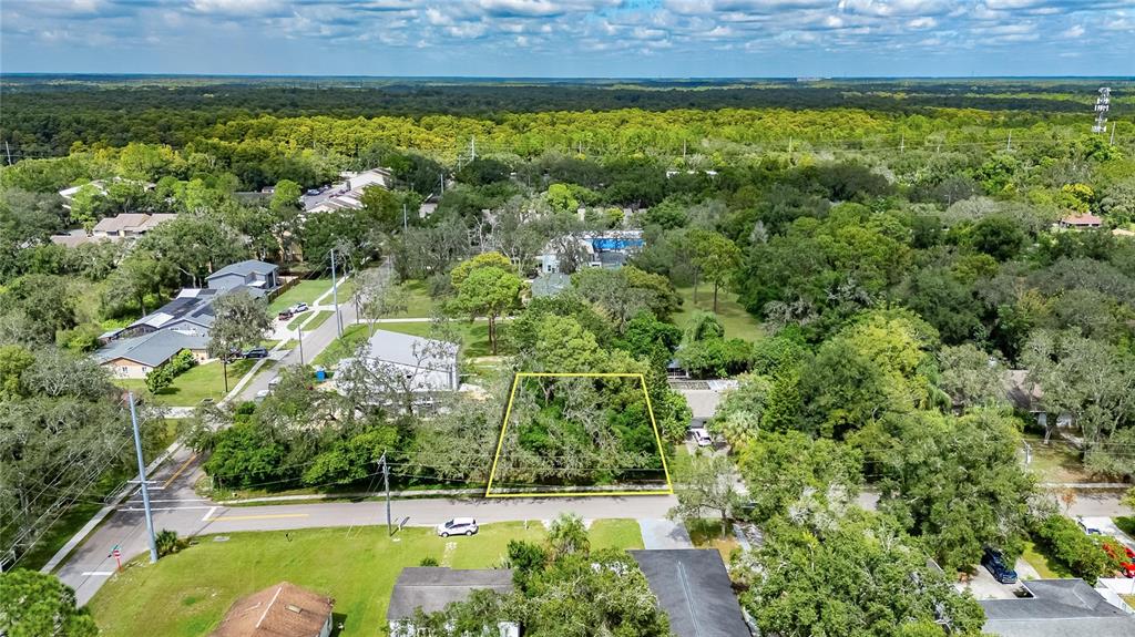 5204 East 131st Avenue Temple Terrace, FL 33617 - Photo 8 of 16 a view of a yard with potted plants