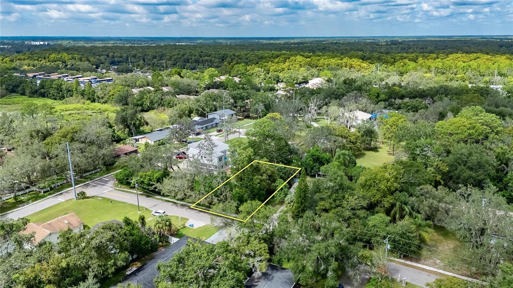 5204 East 131st Avenue Temple Terrace, FL 33617 - Photo 9 of 16 a view of a garden with a building in the background