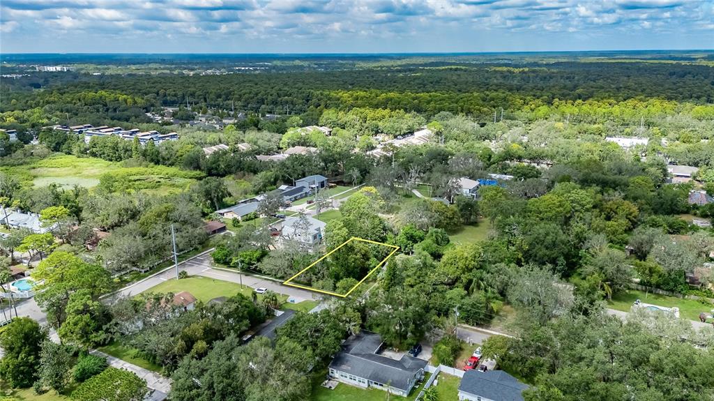 5204 East 131st Avenue Temple Terrace, FL 33617 - Photo 10 of 16 an aerial view of residential houses with outdoor space and trees