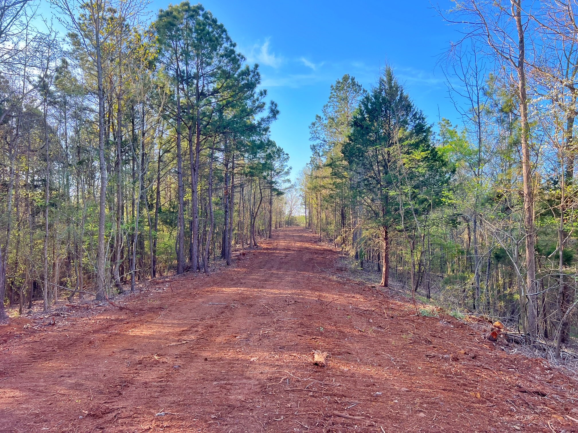 2107 Rusk Tx 75785 Rusk, TX 75785 - Photo 11 of 34