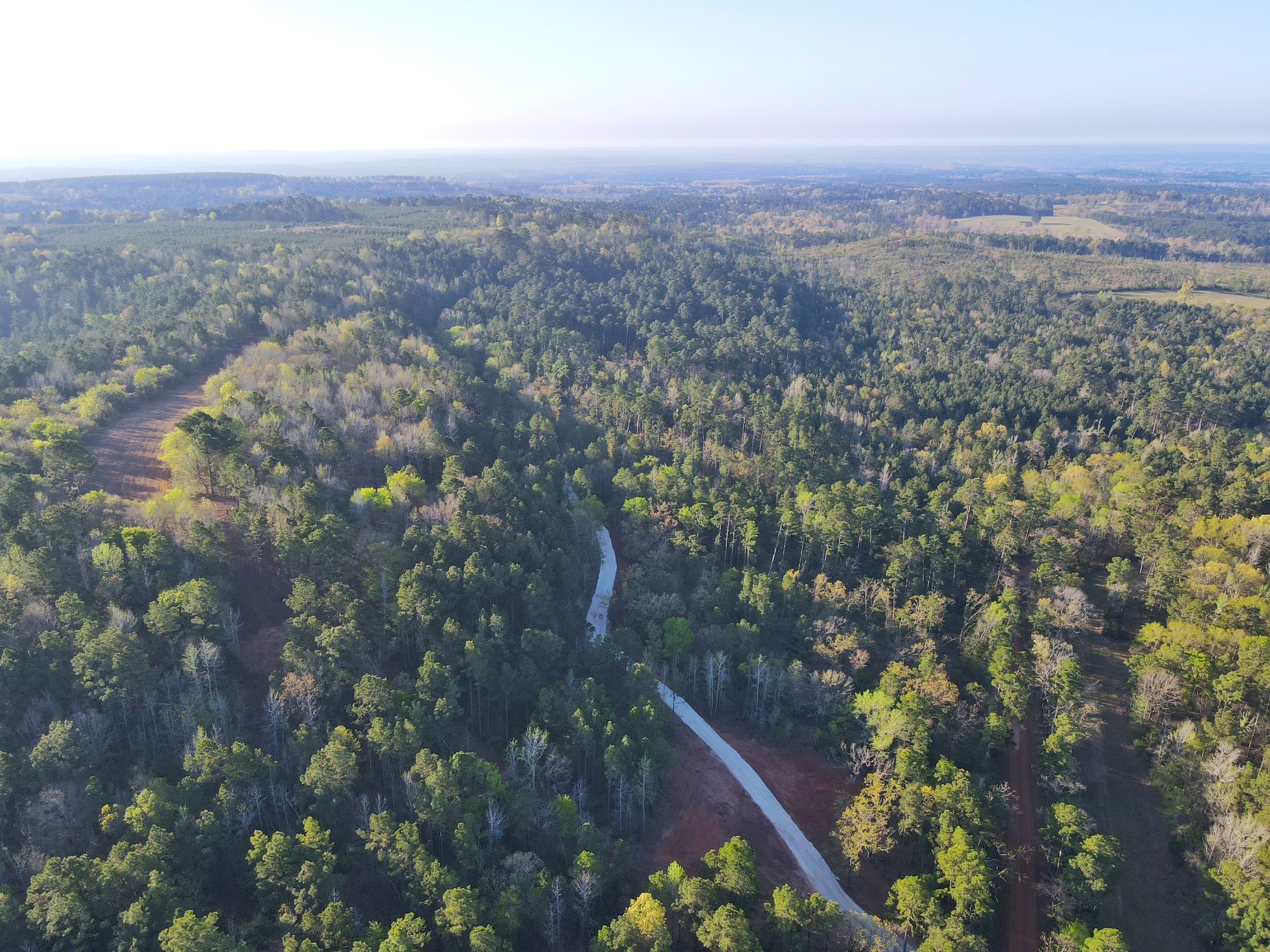 2107 Rusk Tx 75785 Rusk, TX 75785 - Photo 12 of 34