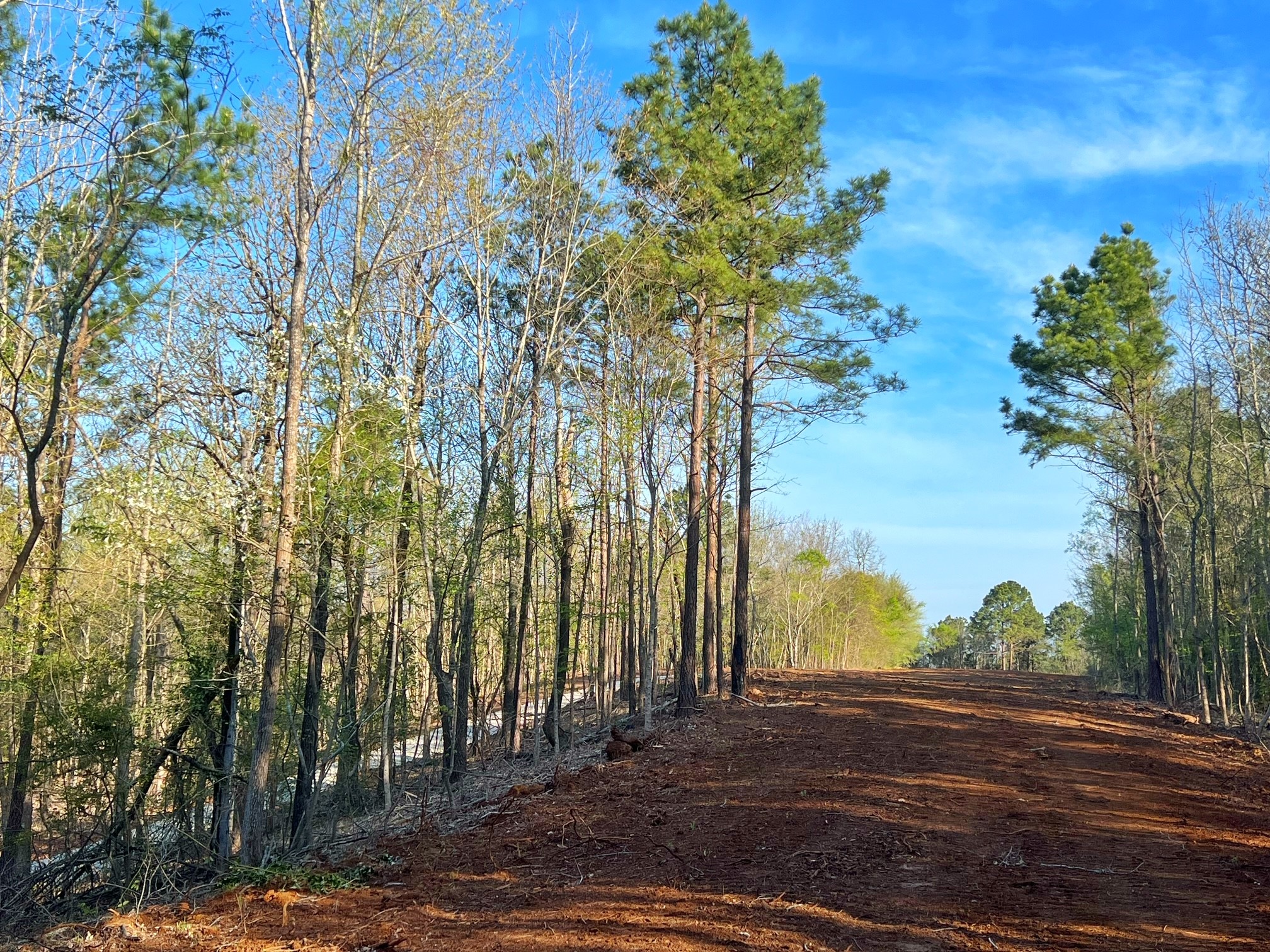 2107 Rusk Tx 75785 Rusk, TX 75785 - Photo 13 of 34