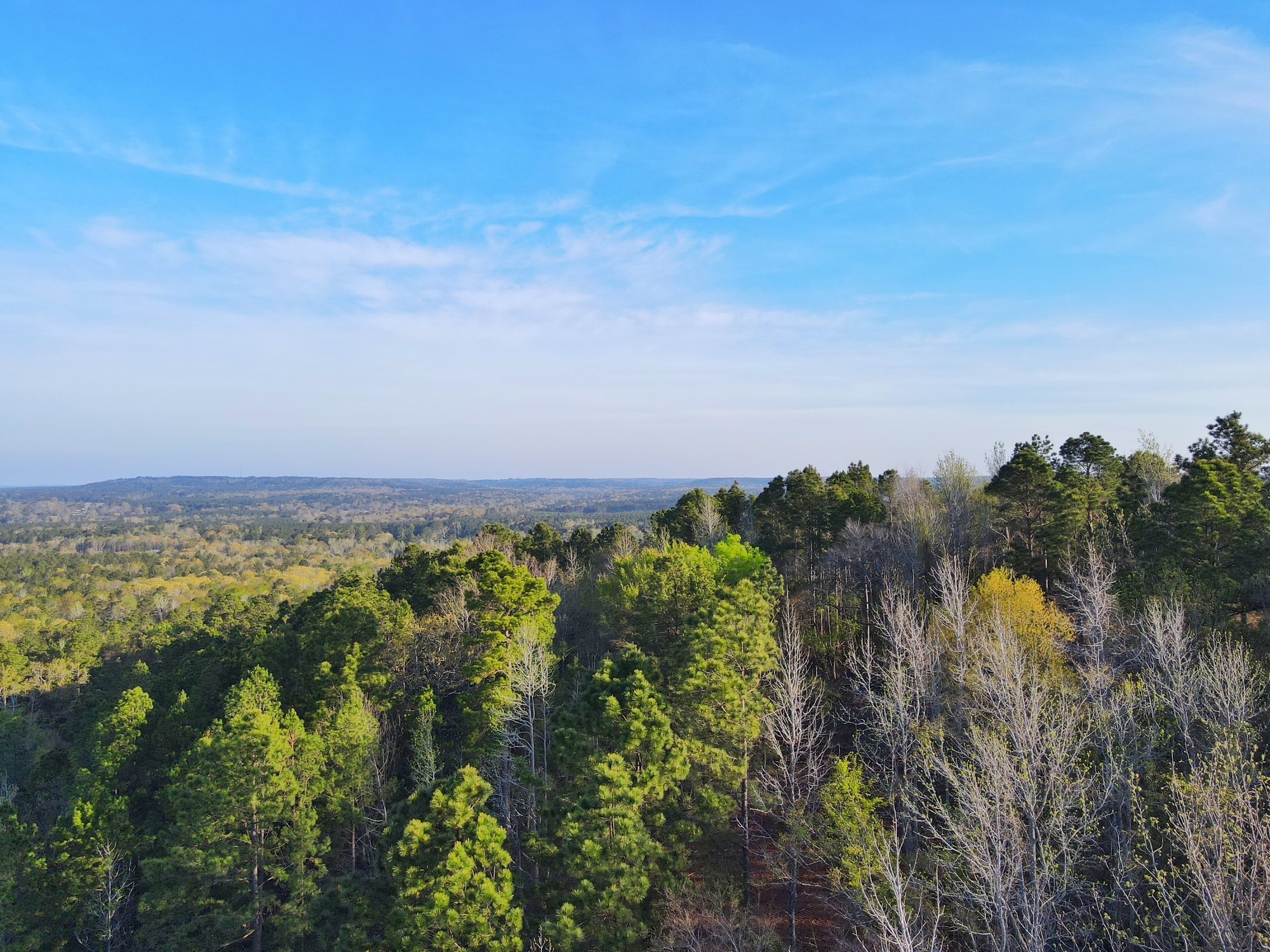2107 Rusk Tx 75785 Rusk, TX 75785 - Photo 2 of 34