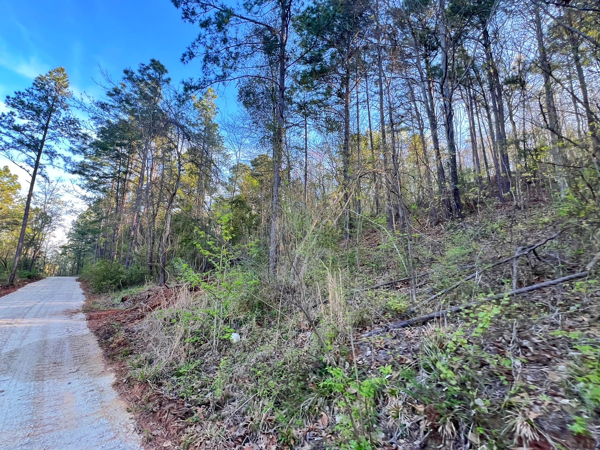 2107 Rusk Tx 75785 Rusk, TX 75785 - Photo 25 of 34