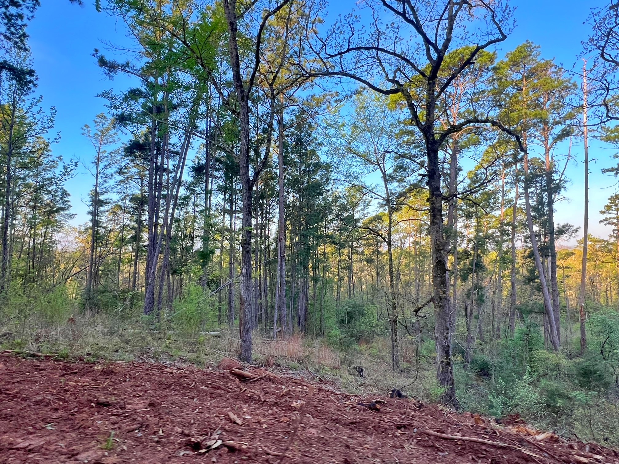 2107 Rusk Tx 75785 Rusk, TX 75785 - Photo 30 of 34