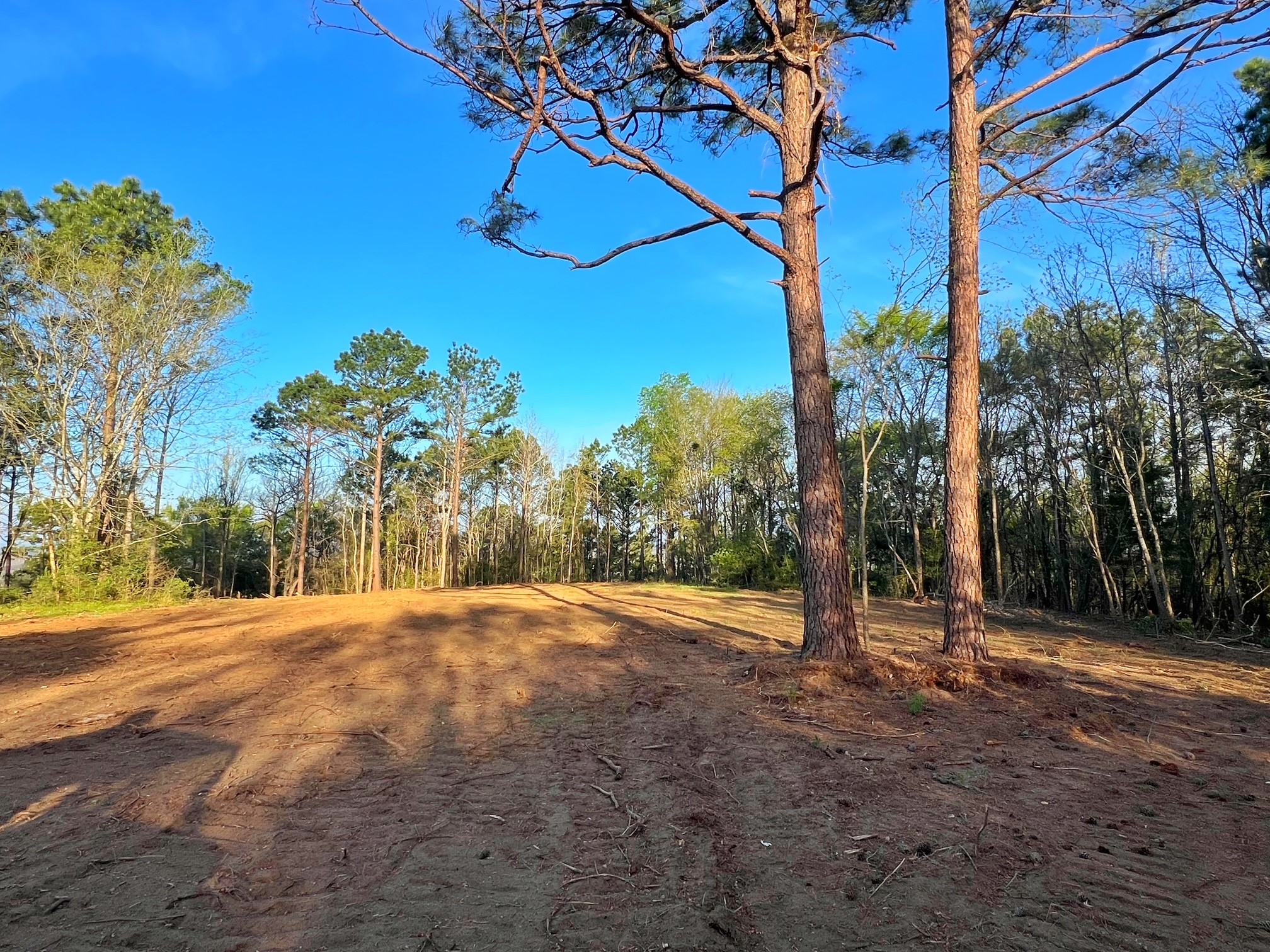 2107 Rusk Tx 75785 Rusk, TX 75785 - Photo 31 of 34