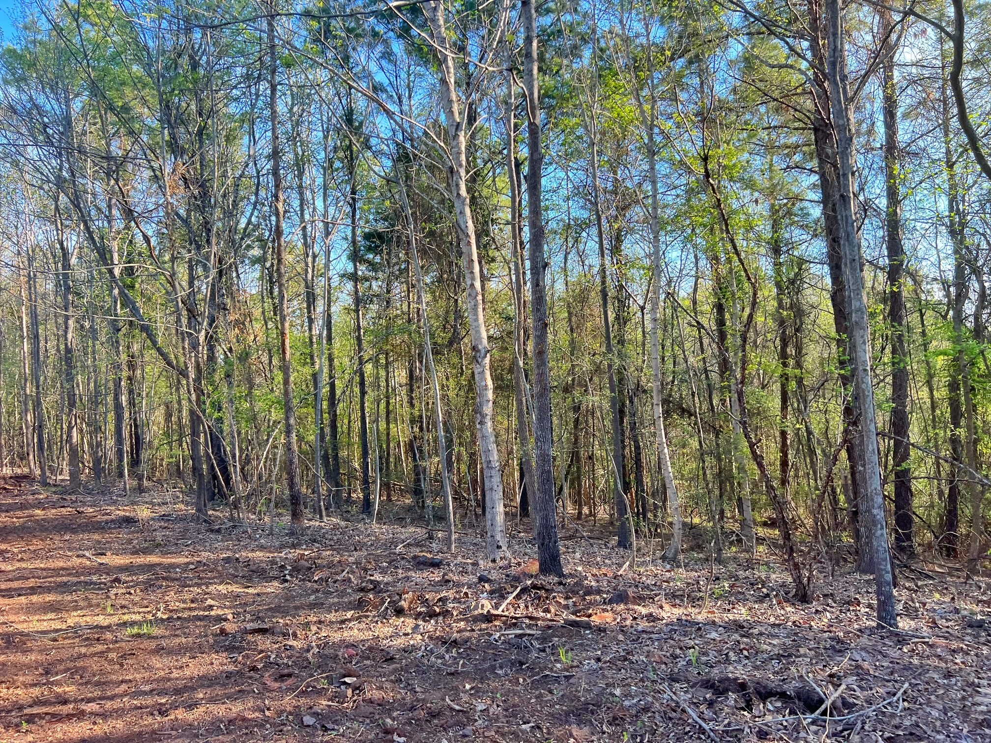 2107 Rusk Tx 75785 Rusk, TX 75785 - Photo 32 of 34