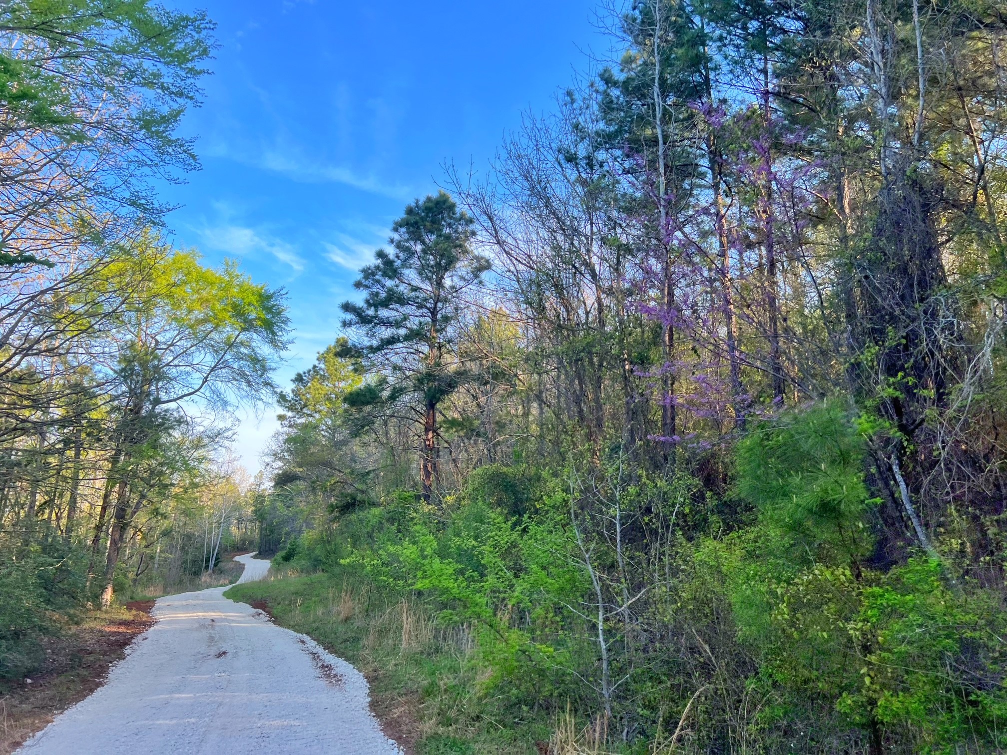 2107 Rusk Tx 75785 Rusk, TX 75785 - Photo 34 of 34