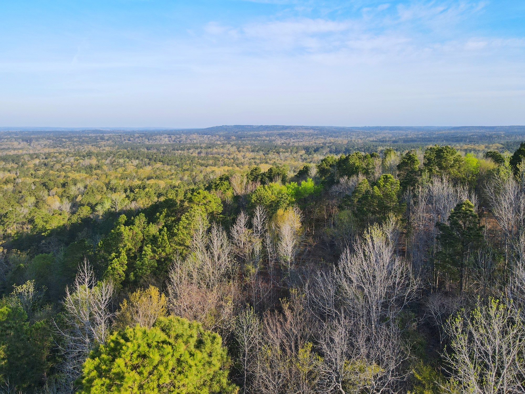 2107 Rusk Tx 75785 Rusk, TX 75785 - Photo 4 of 34