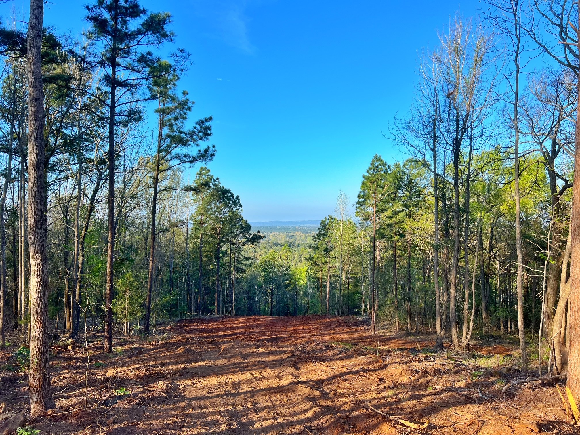 2107 Rusk Tx 75785 Rusk, TX 75785 - Photo 5 of 34