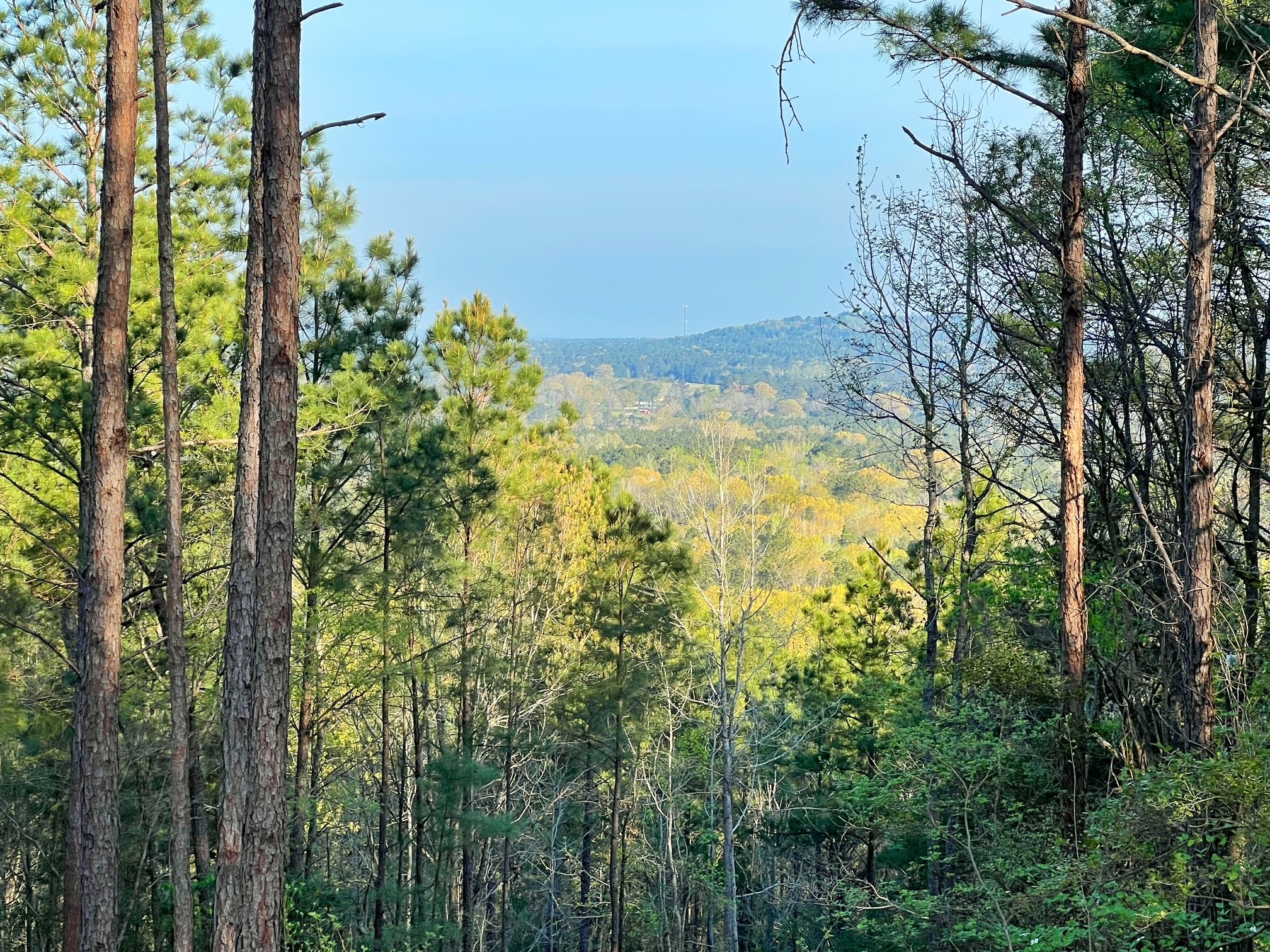 2107 Rusk Tx 75785 Rusk, TX 75785 - Photo 7 of 34