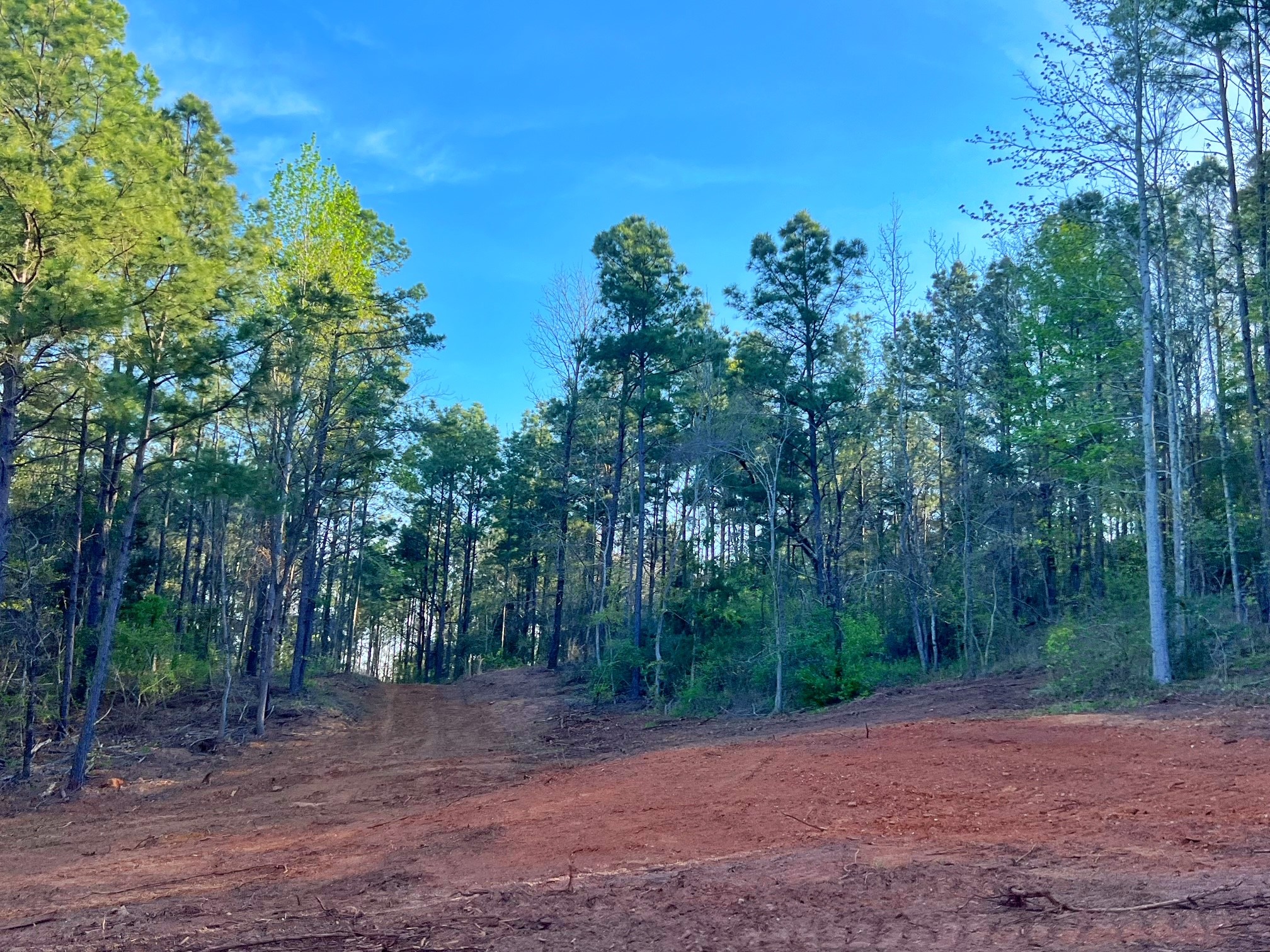 2107 Rusk Tx 75785 Rusk, TX 75785 - Photo 9 of 34