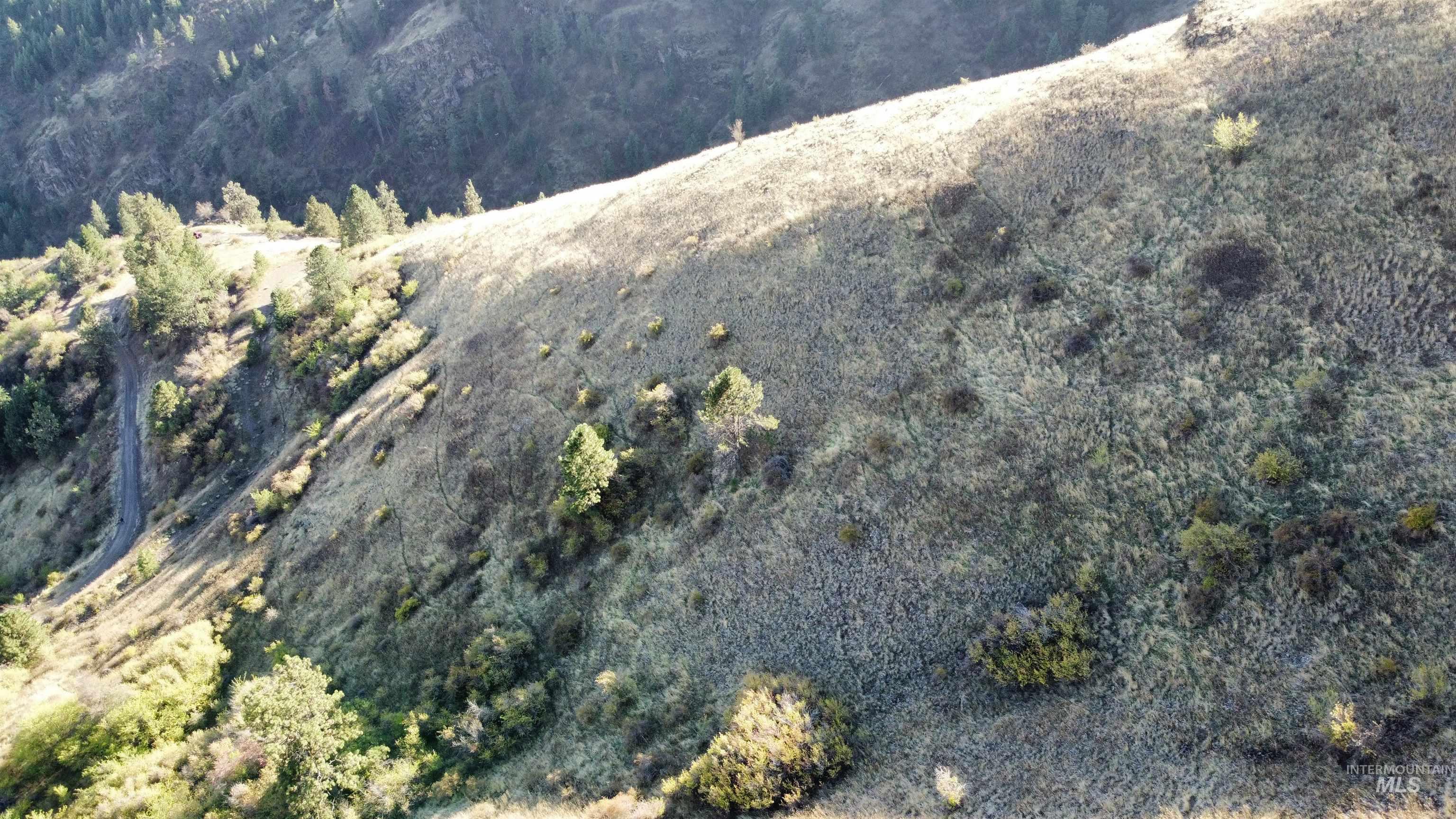 Tbd Big Canyon Road White Bird, ID 83554 - Photo 8 of 25 Gallery Image 8