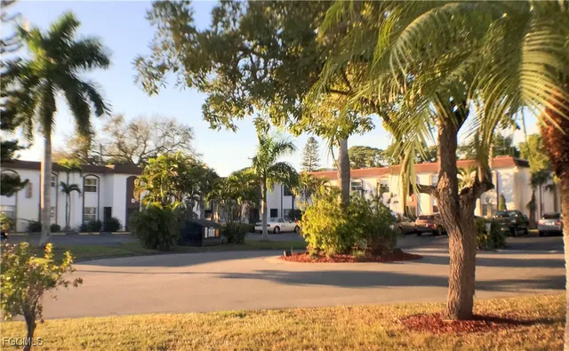 a view of a yard with plants