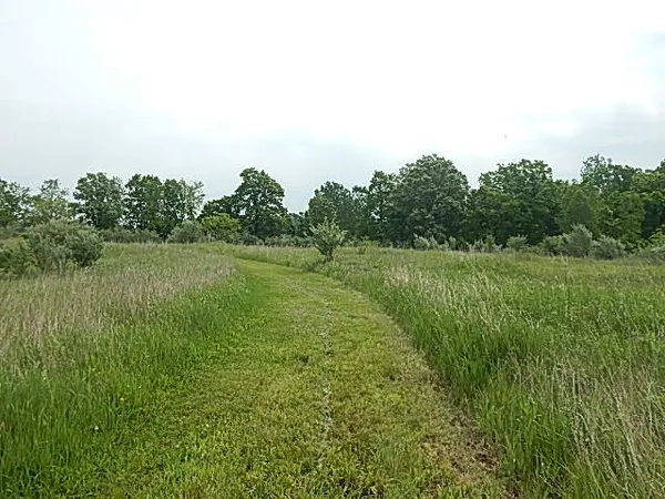 $699,000 | 2855 Oakley Road, Stockbridge, MI 49285