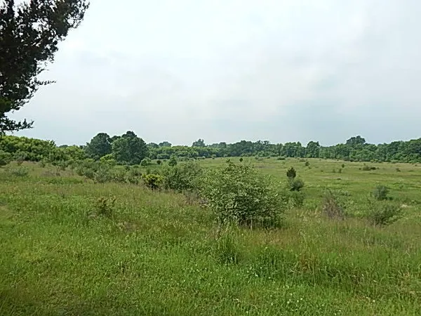 $699,000 | 2855 Oakley Road, Stockbridge, MI 49285