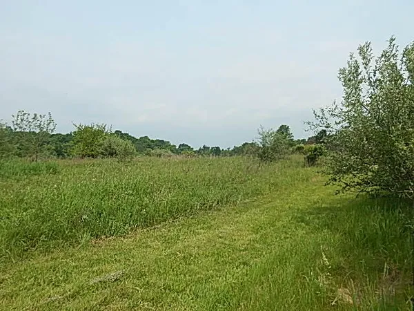 $699,000 | 2855 Oakley Road, Stockbridge, MI 49285