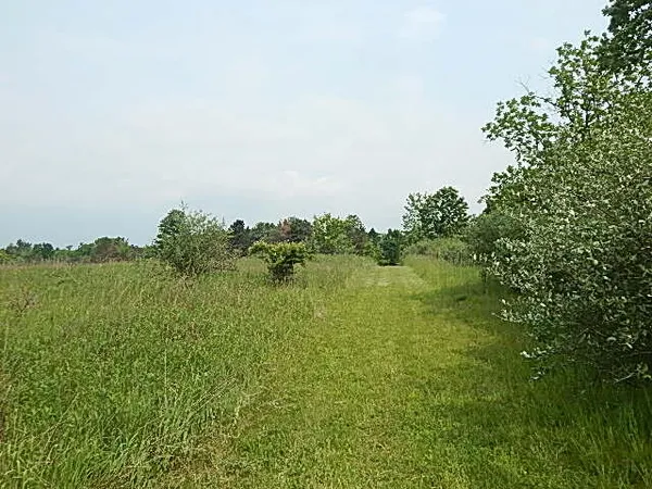 $699,000 | 2855 Oakley Road, Stockbridge, MI 49285