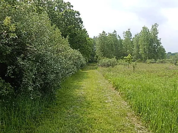 $699,000 | 2855 Oakley Road, Stockbridge, MI 49285