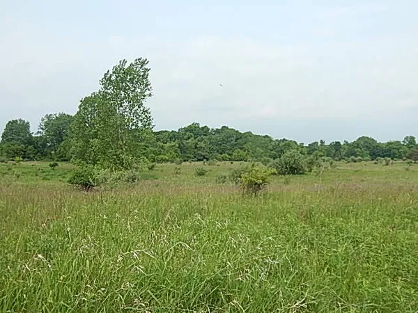 $699,000 | 2855 Oakley Road, Stockbridge, MI 49285