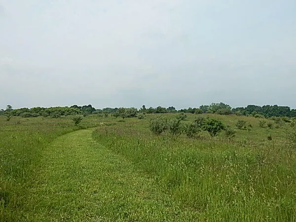 $699,000 | 2855 Oakley Road, Stockbridge, MI 49285