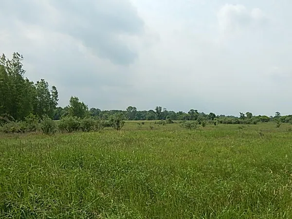 $699,000 | 2855 Oakley Road, Stockbridge, MI 49285