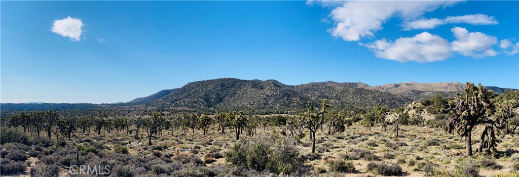 27 Vista Road Landers, CA 92285 - Photo 19 of 33 a view of a sky