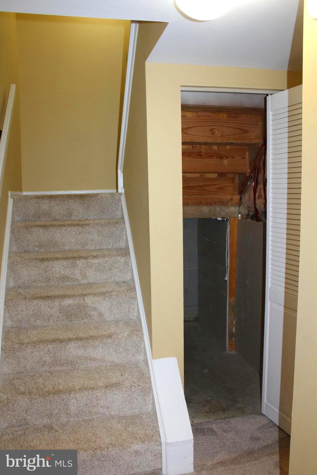 2210 Glencourse Lane Reston, VA 20191 - Photo 49 of 84 Extra Deep Storage Space under Lower Level Stairs