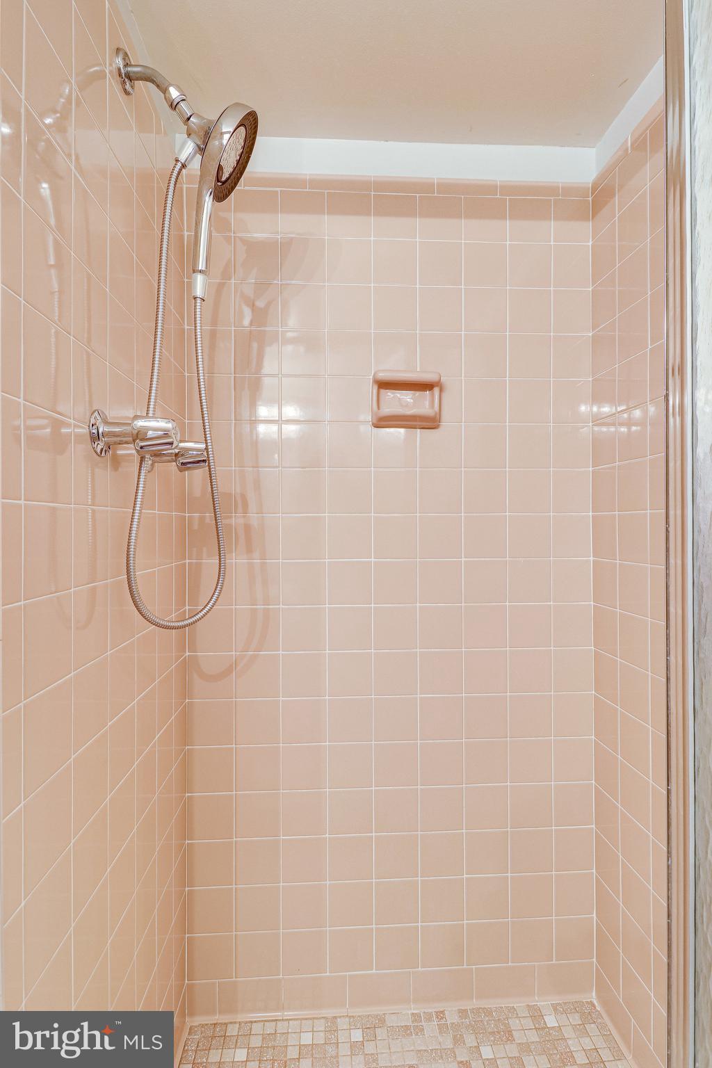 2210 Glencourse Lane Reston, VA 20191 - Photo 54 of 84 Floor to Ceiling Tiled Lower Level Shower Stall