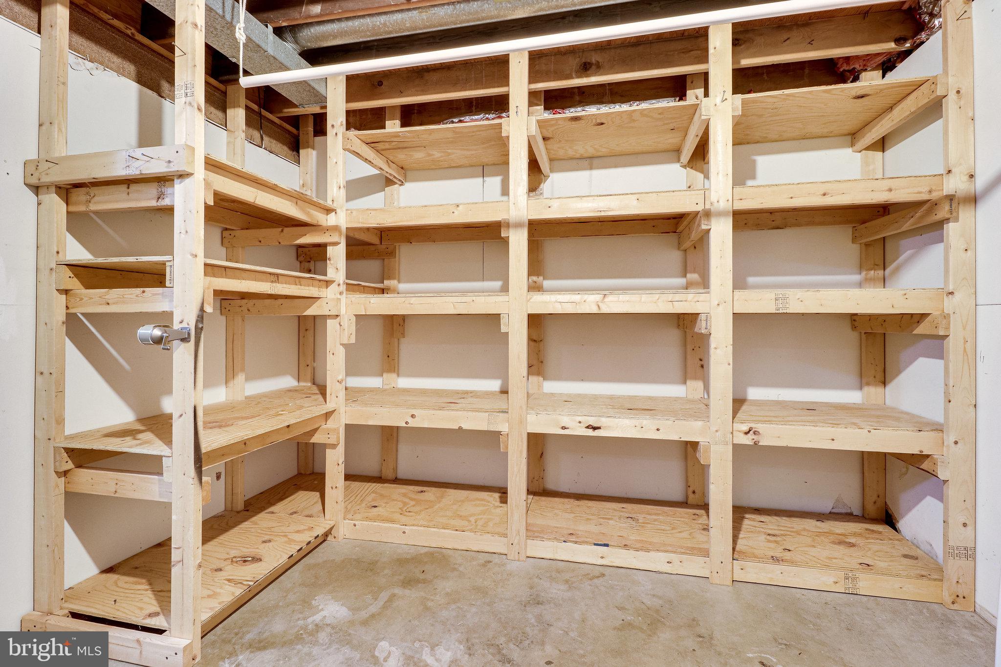 2210 Glencourse Lane Reston, VA 20191 - Photo 61 of 84 Amazing amount of Sturdy Storage in Basement