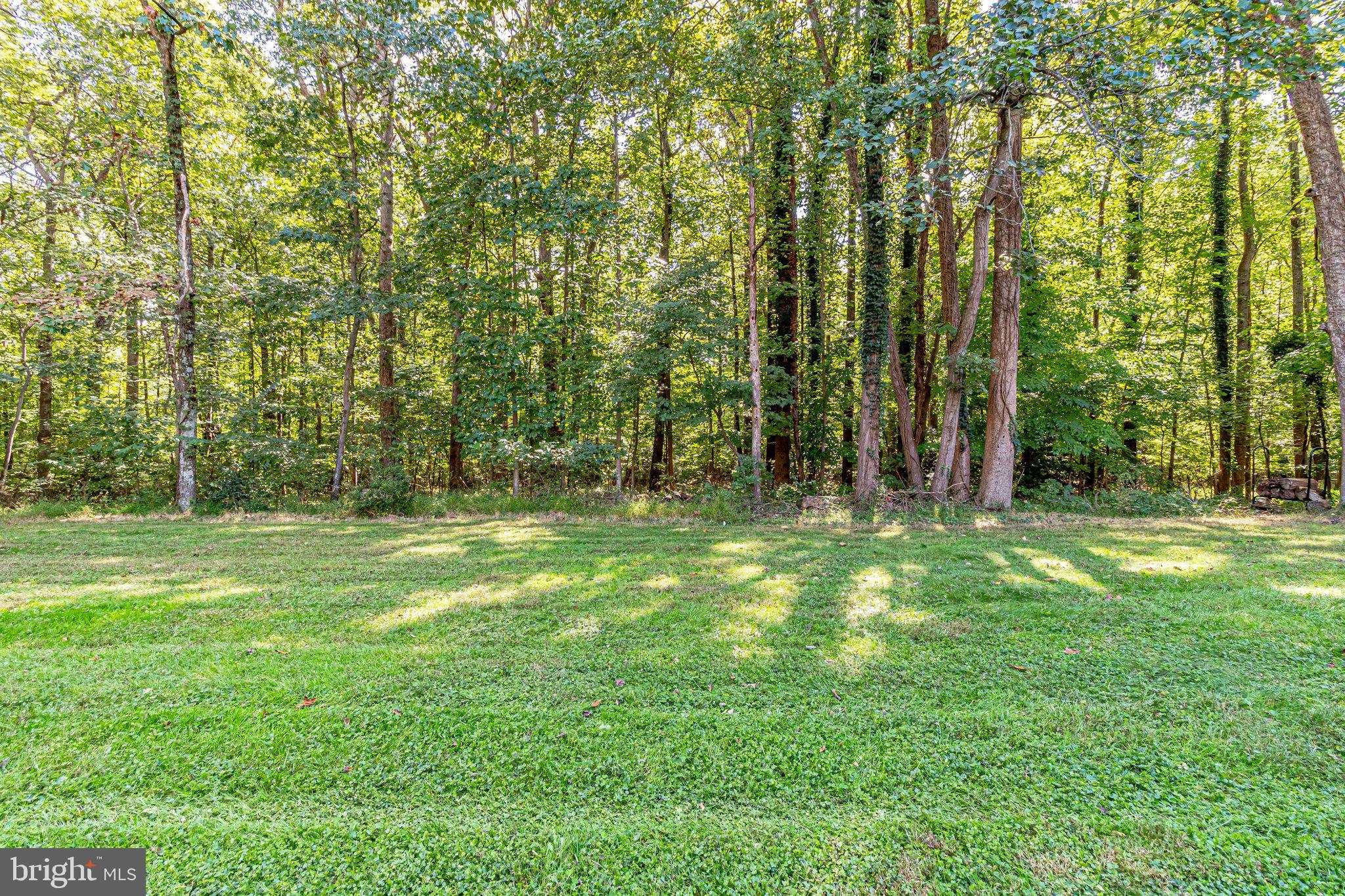 2210 Glencourse Lane Reston, VA 20191 - Photo 69 of 84 Your View behind this Lovely Town House